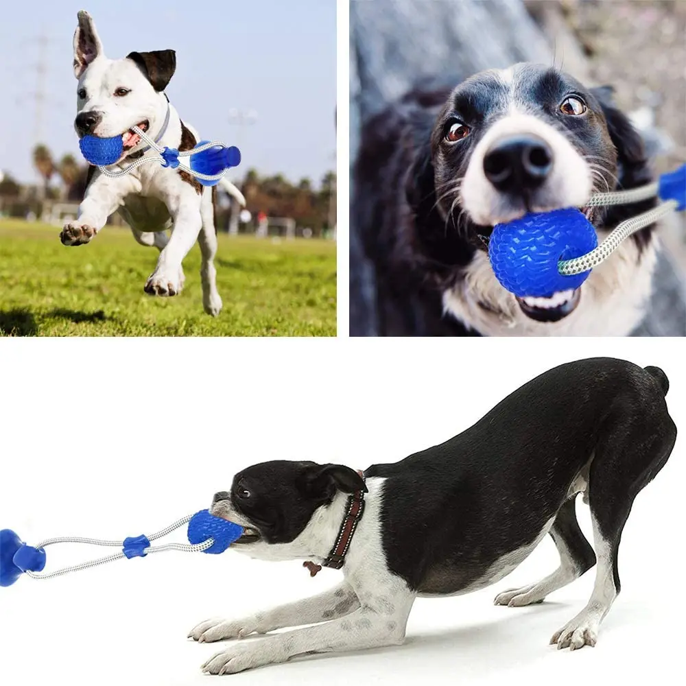 Interactive Suction Cup Dog Chew Toy Self Playing with Elastic Rope Tooth Cleaning Chewing Ball Puppy Supplies | Дом и сад