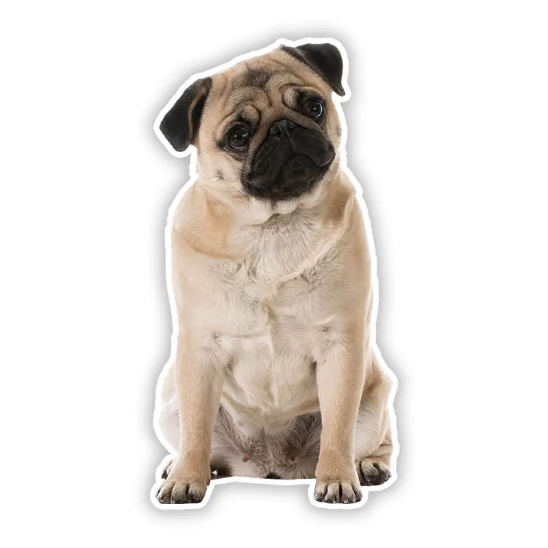 

B0691# Self-adhesive Decal Pug Dog V4 Car Sticker Waterproof Auto Decors on Bumper Rear Window Motorcycle Laptop Helmet