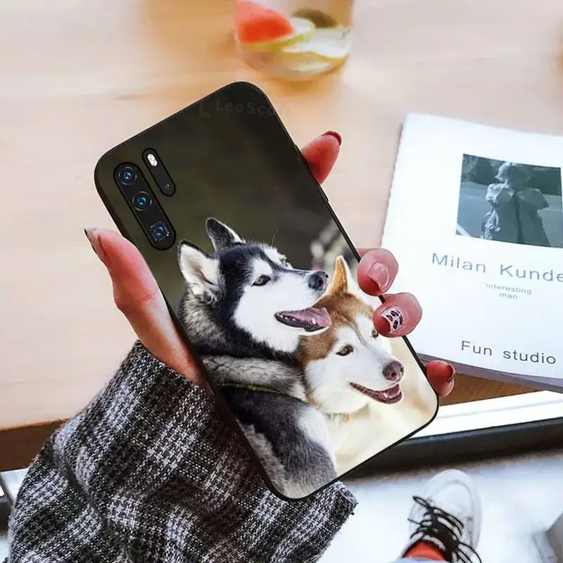 

Husky dog Colorful Cute Phone Case For Huawei honor Mate mate P 10 9X 10i 20 30 40 y7 pro p smart 2019 lite