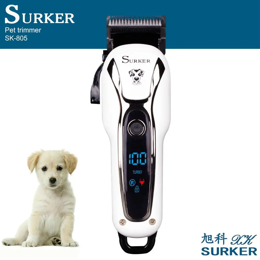 

Personal Care Appliances
