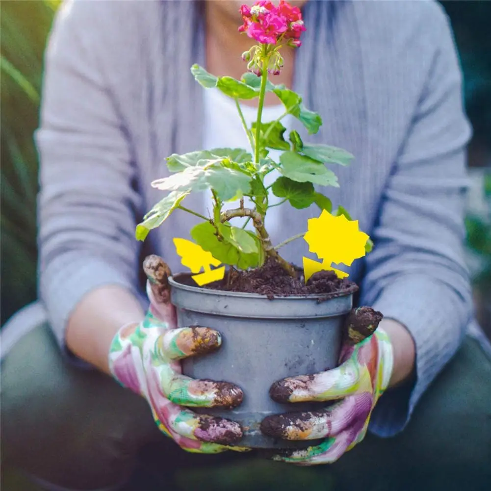 12 шт грибковых насекомых двусторонний Ловец растение для тли сильный клей