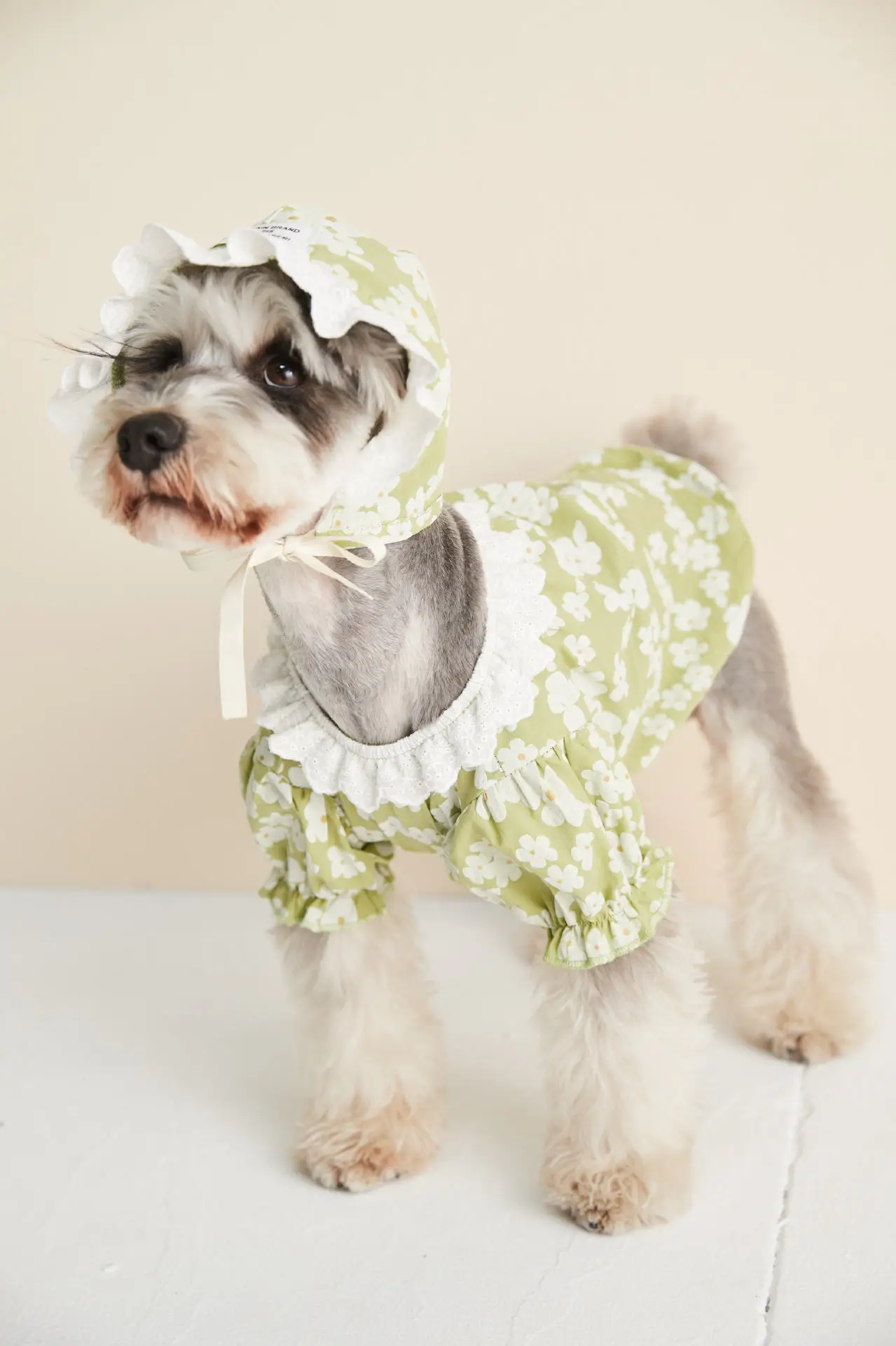 2021 новая модная одежда для собак весна-лето кружевная Цветочная рубашка шнауцер