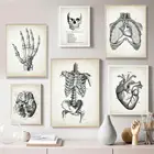 Анатомический Скелет стопы мозга сердце череп Винтаж Арт холст картины Nordic плакат и принты настенные картины доктор офисный Декор