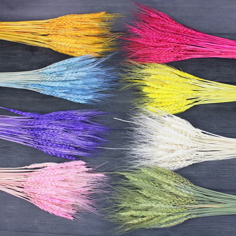 

Real Wheat Ear Flower Natural Dried Flower Wheat Straw DIY Flower Arrangement Floral Home Party Wedding Decoration Wheat Bouquet