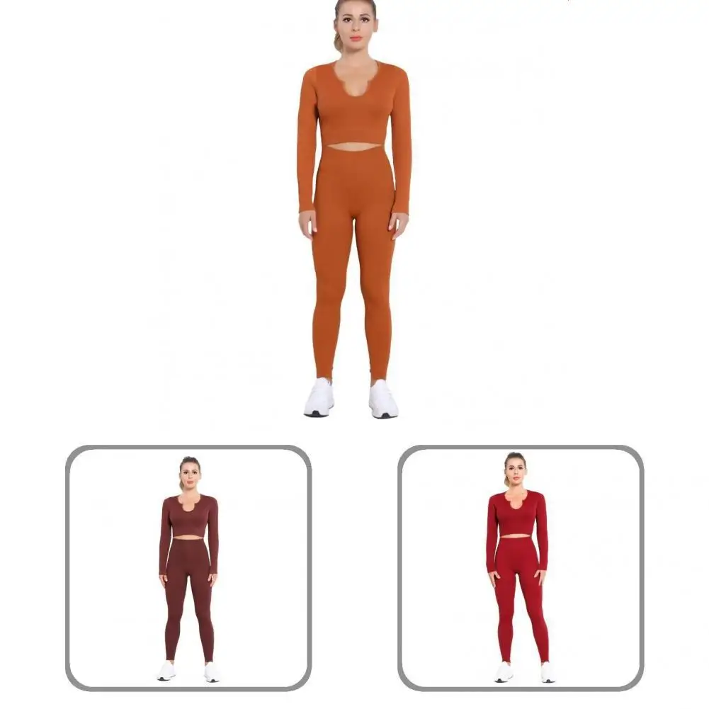 

Без запаха, 1 комплект, практичный укороченный костюм в рубчик с длинным рукавом, нейлоновая ткань, лаконичный стиль для упражнений