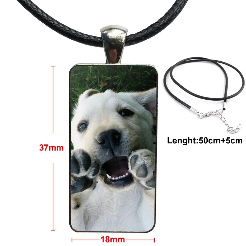 Щенок Лабрадор ретривер собака для женщин подарок бренд сталь цвет ювелирные