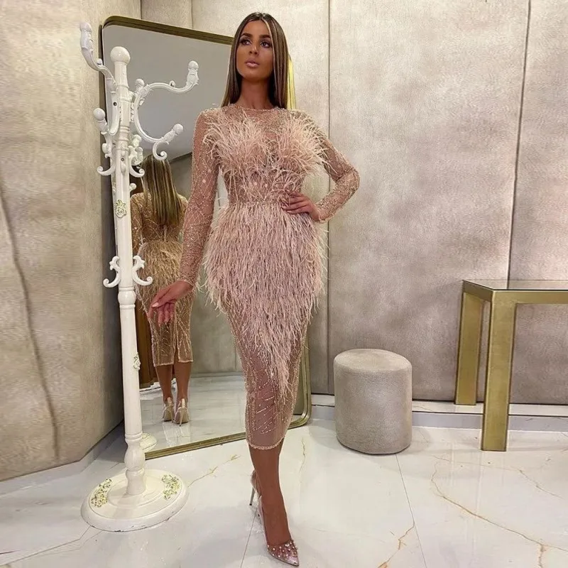

Gorgeous Feather Prom Dresses Pink See Through Long Sleeves Sheath Evening Gowns Zipper Back Robe De Soiree Party Dress 2021