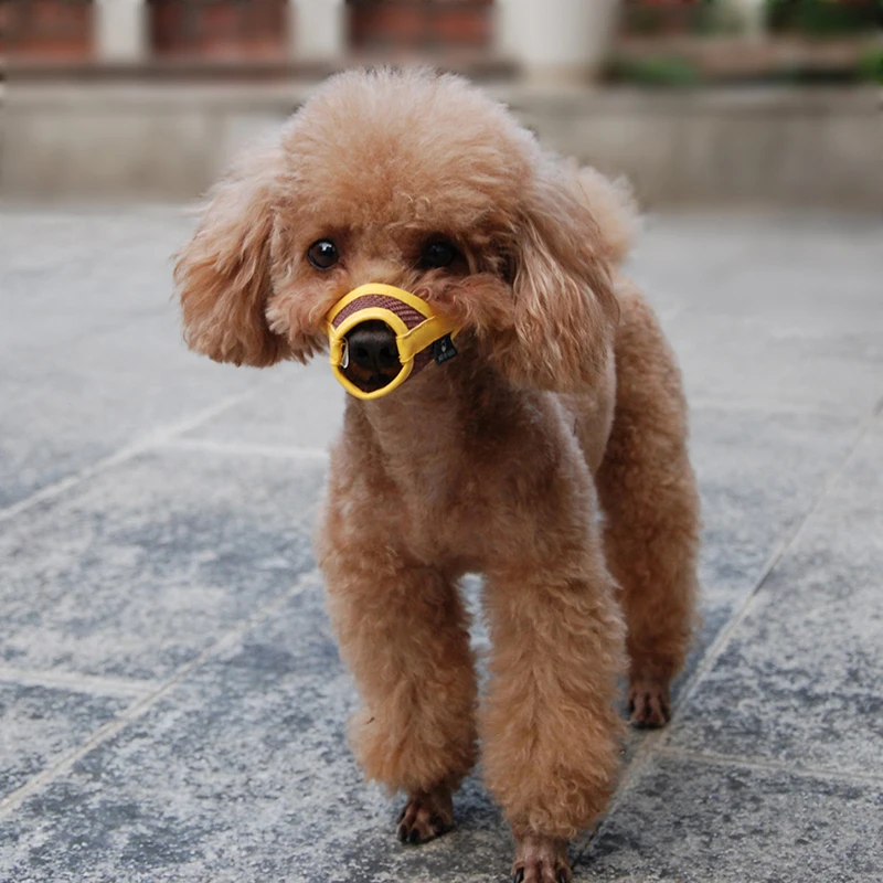 

Dog Anti-bite Muzzle Multifunction Safety Dog Muzzle Durability Convenient Useful Pet Muzzle Portable Mesh Dog Anti-bite Mask