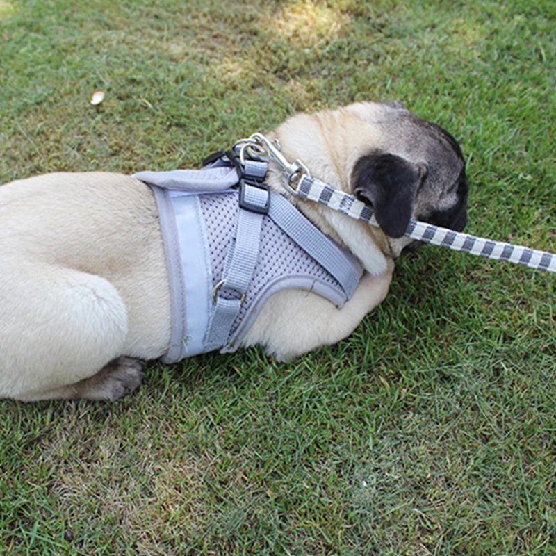 

Pet Adjustable Reflective Pet Traction Rope Vest Walking Lead Leash Polyester Mesh Harness Small Medium Dog Cat Harness