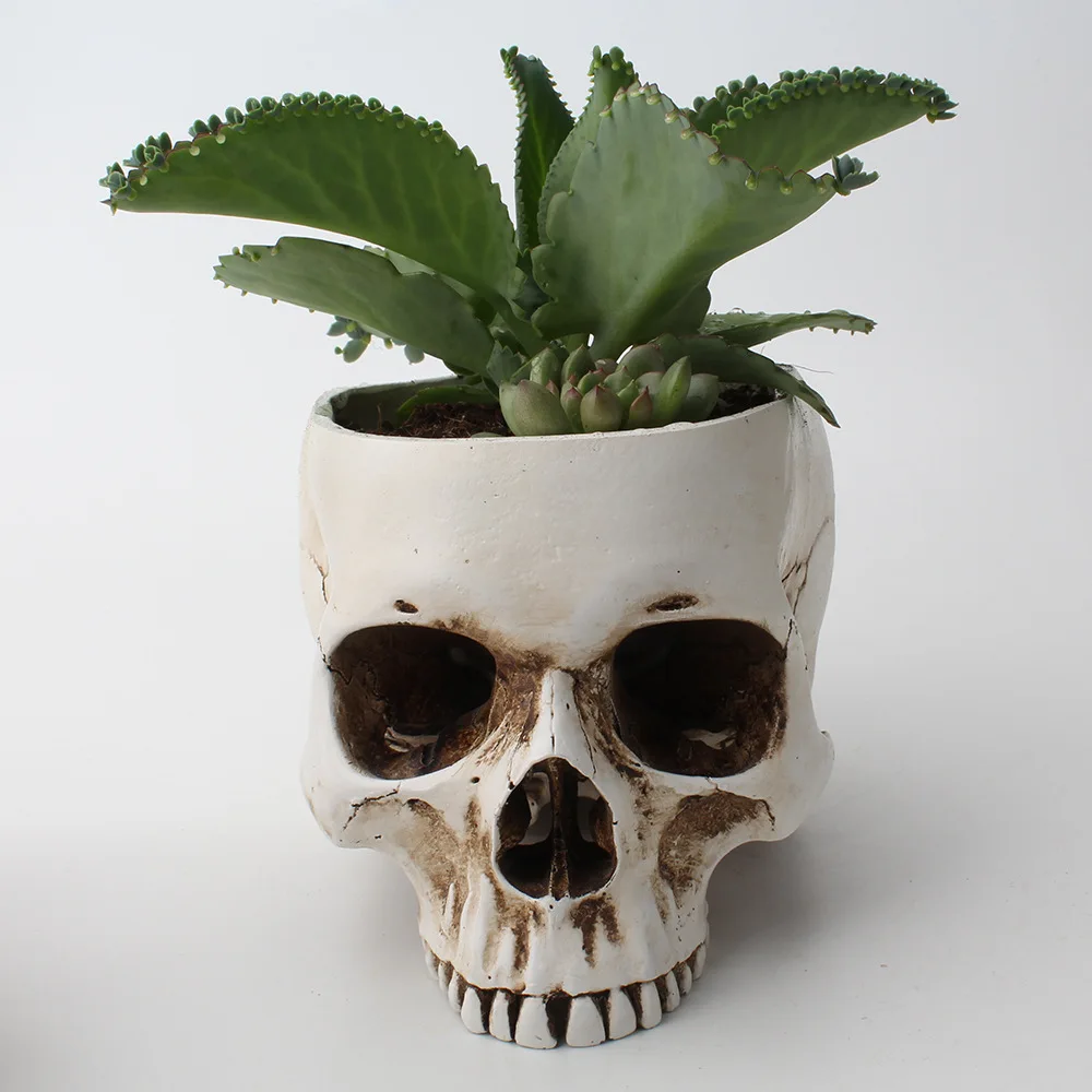 

Skull Desktop Flower Pot Taro Horror Flower Pot Ashtray Resin Simulation Skull Home Garden Breathable Flower Pot Home Decoration