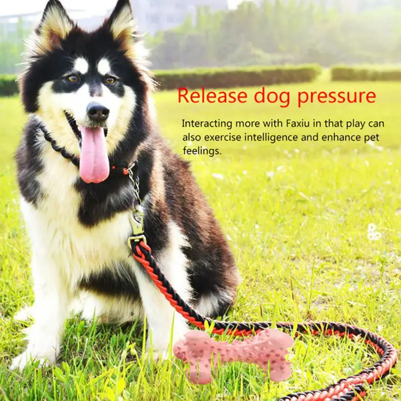 Собака молярная игрушка Укус устойчивостью отбеливание при чистке зубов