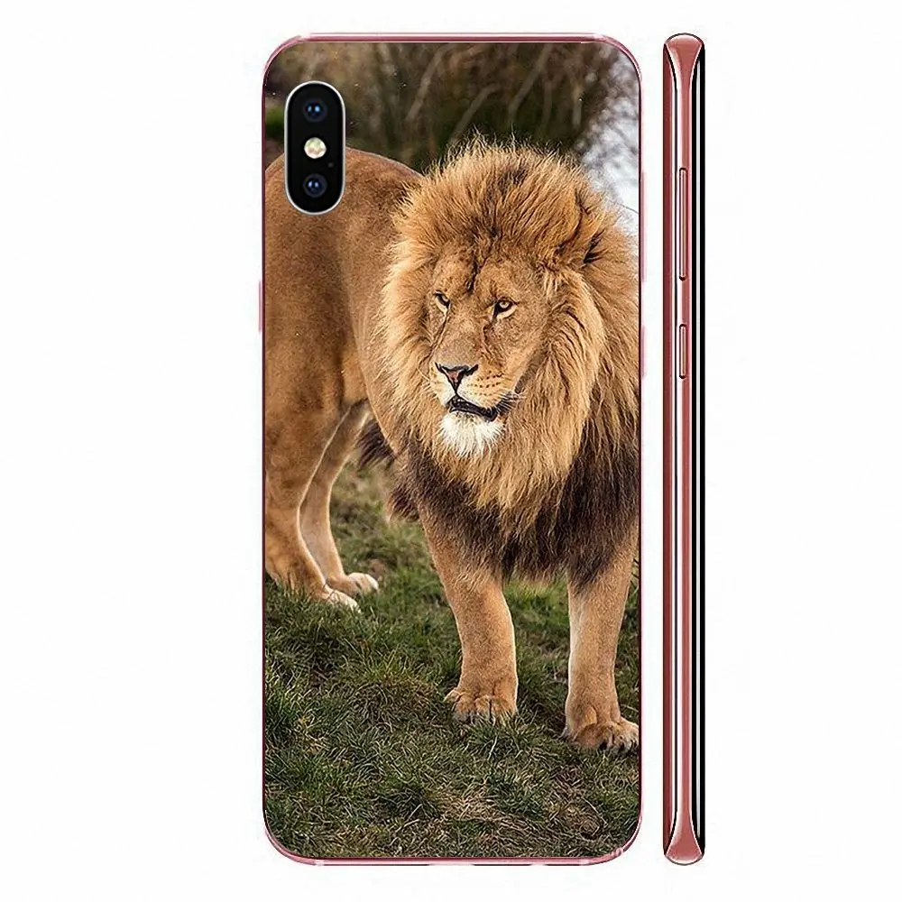 TPU Cover Case For Huawei p40 lite pro Honor 20i 20 10i 10 Y9 Y7 Y6 Y5 Prime 2019 2018 Mate Lite King Of Lion | Мобильные телефоны
