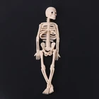 Скелет модель человека Череп всего тела мини-фигурка игрушка вешалка для телефона Хэллоуин
