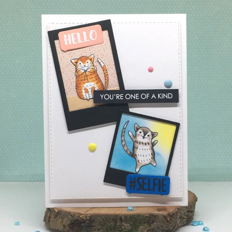 Летние прозрачные штампы с изображением животных Ленивец единорога медведя птиц