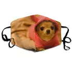 Унисекс, дышащие, для щенков чихуахуа, собак детская маска для лица, регулируемый ушной Анти-пыль загрязнения маска для лица маска для бега