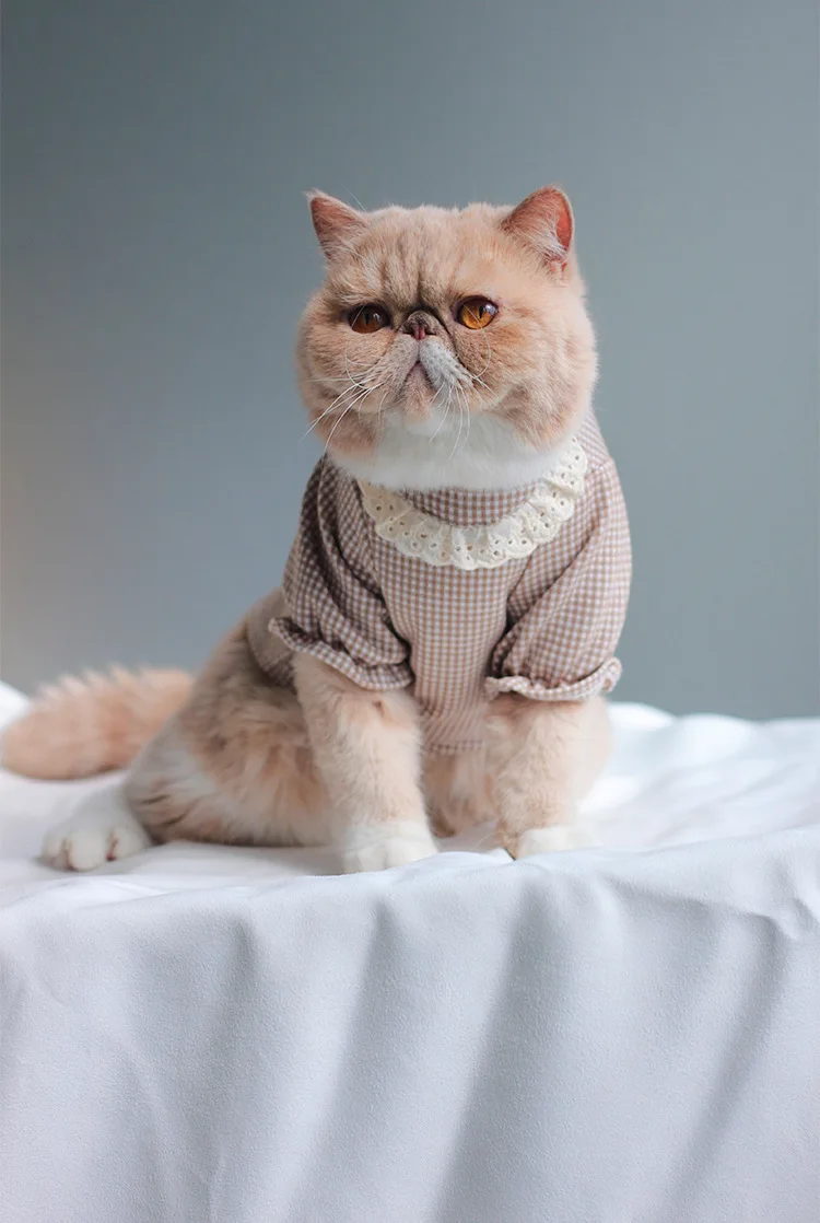 

Pet Clothing Spring and Summer Thin Kitten Puppies Garfield Pomeranian Maltese Puppy Cute Costume Dog Clothes