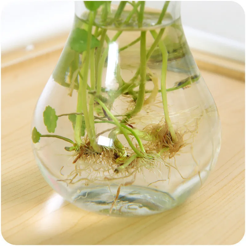 Стеклянная ваза креативная маленькая гидропонная стеклянная бутылка для