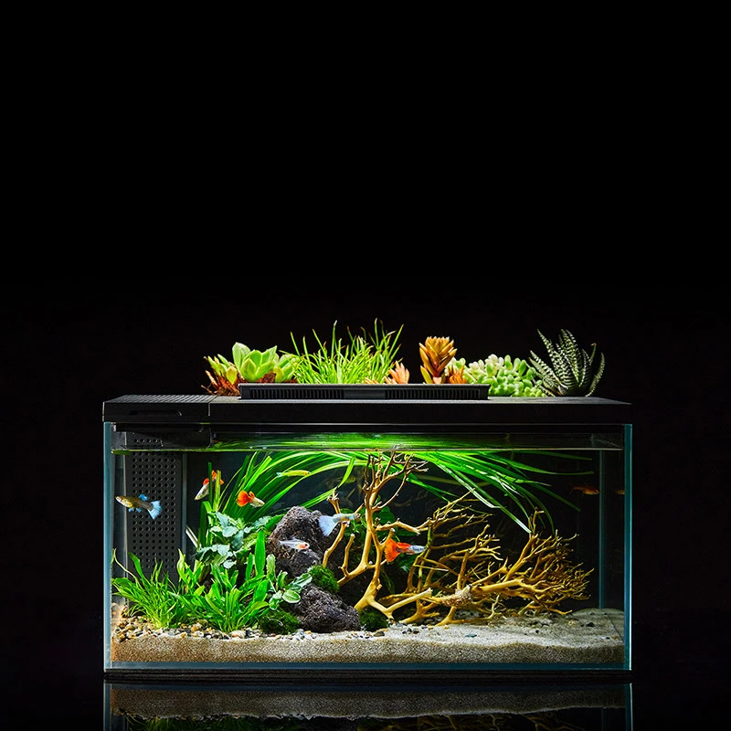 

Xiaomi Smart Fish Tank Petkit Small Tanks With Marine Aquarium Accessories Light Led Lights Decor Stones Decorations Mobile App