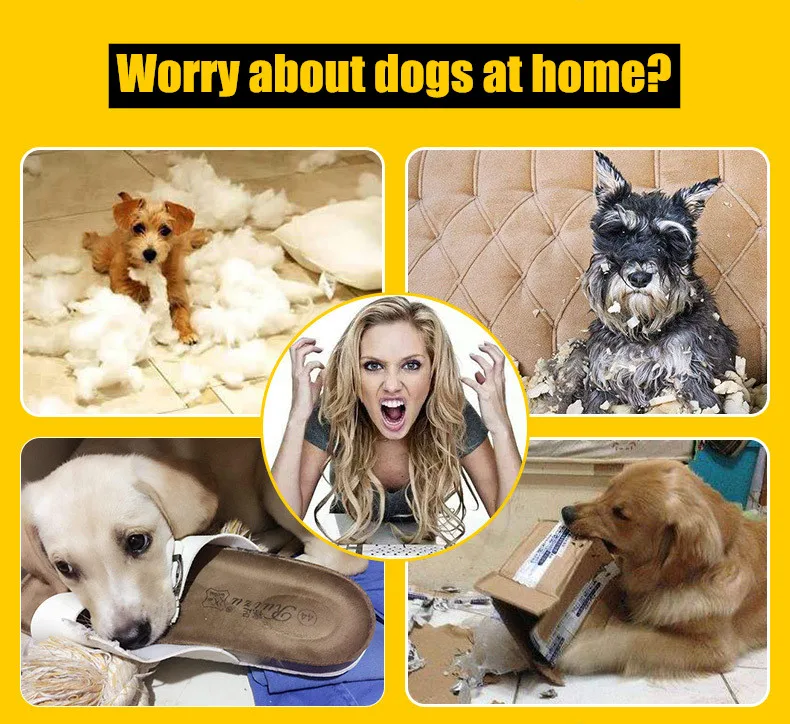 1 шт. креативная игрушка для животных | Дом и сад