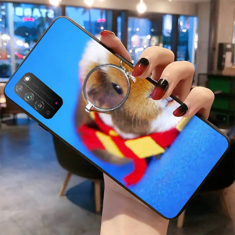 Чехол для Huawei Honor 30 20 10 9 8 8x 8c v30 Lite view pro с изображением морской свинки | Мобильные