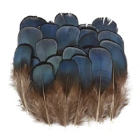 natural small blue pheasant feathers for crafts 3 7cm needlework accessories chicken feathers for jewelry making earrings decor