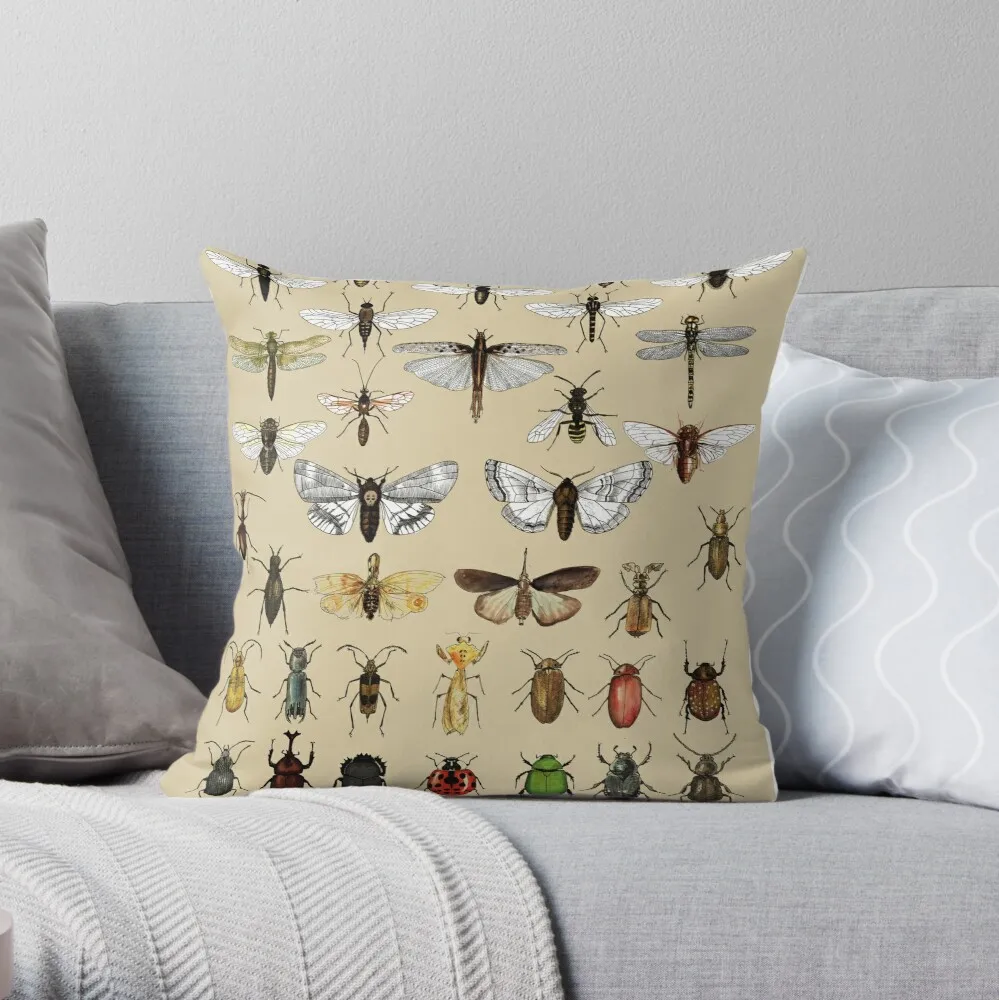 

Entomology Insect studies collection Throw Pillow Pillowcase Home Decorative Sofa Pillow Cover 40x40cm 45x45cm