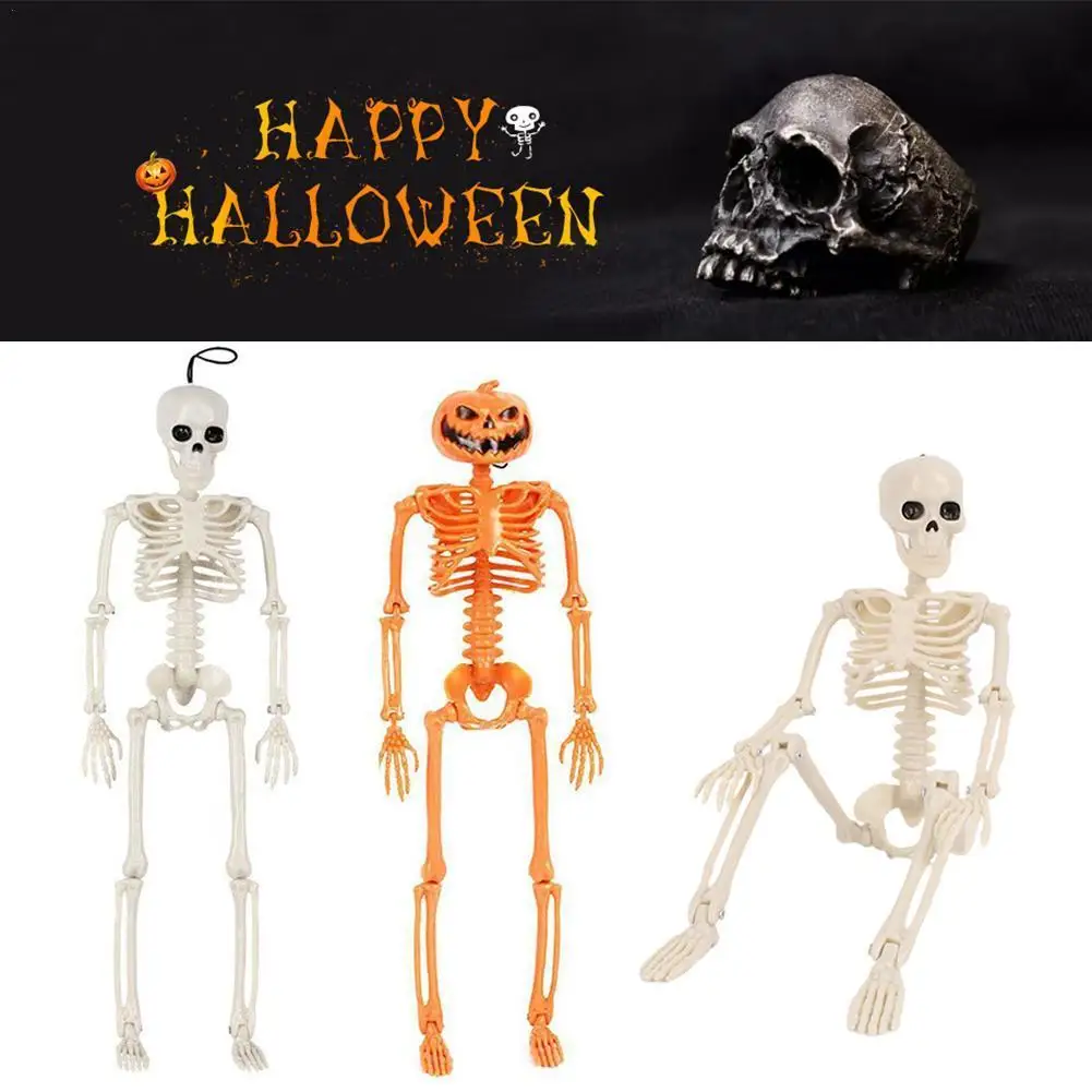 

People Active Model Skeleto Anatomy Skeleton Skeleton Model Medical Learning Halloween Party Decoration Skeleton Art Sketch