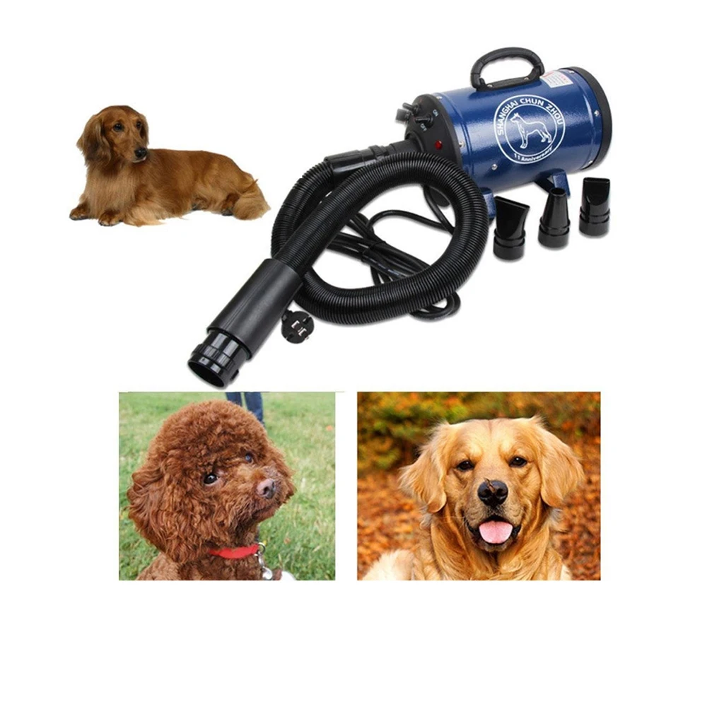 

2021 BS2400 Grooming Dryer For Dogs Low Noice Dog Dryer Strong Power Pet Dryer Stepless Speed For Drying Dogs Ship From Russia