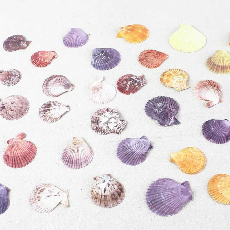 10 шт./лот разноцветные ракушки в средиземноморском стиле ремесло сырье Dongfeng