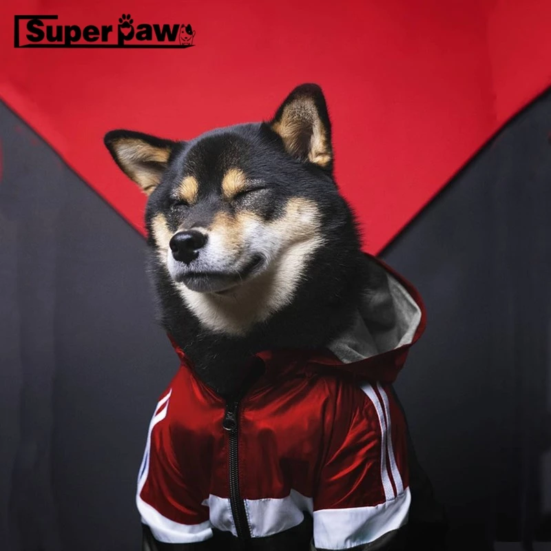 Модная ветровка для собак уличная куртка дождевик водонепроницаемый