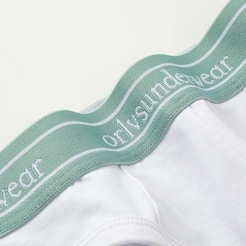 

ORLVS Brand New 3 Colors Sexy Men Underwear Cotton Men Briefs U Pouch Ropa Interior Hombre Jockstrap Soft Cuecas Tanga OR6221