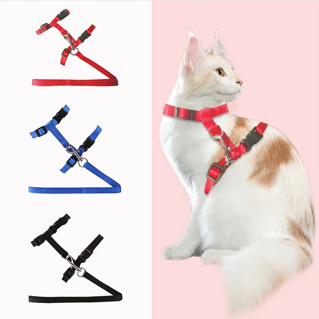 Cat Collar Harness Leash Adjustable Nylon Pet Traction Cat Kitten Dog Halter Collar gato Cats Products Pet Harness Belt 2
