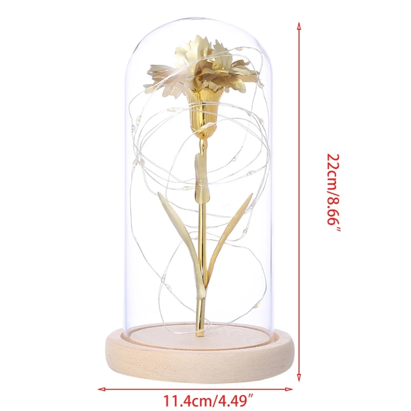 

Gold Foil Carnation Flower in Glass Dome with LED Light Forever for Valentine's Day Gift Wedding Anniversary Decor Dropship