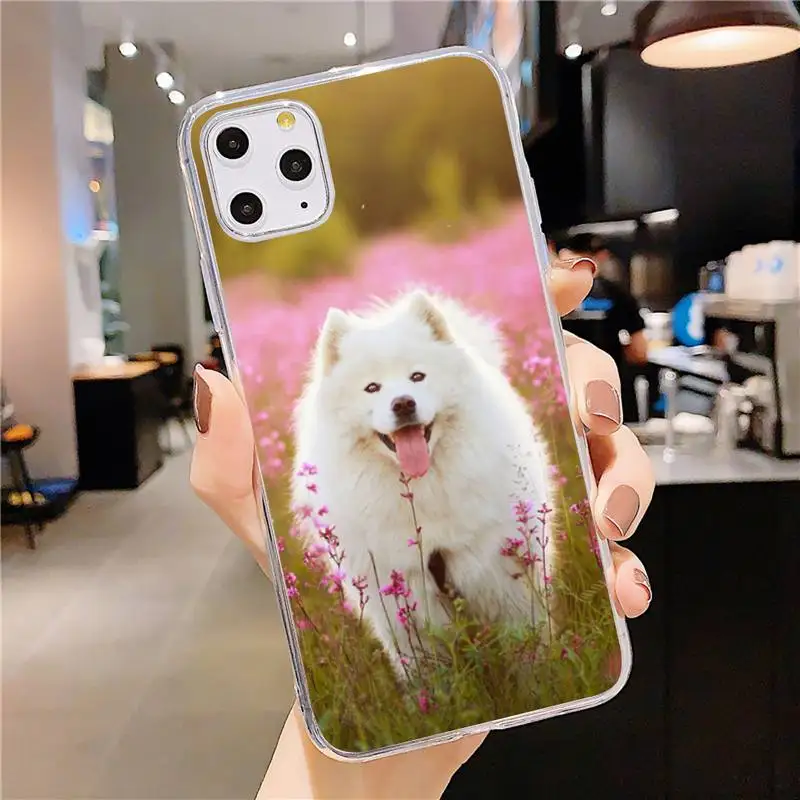 

lovely Samoyed dog Hard Phone Case Transparent soft For iphone 5 5s 5c se 6 6s 7 8 11 12 plus mini x xs xr pro max