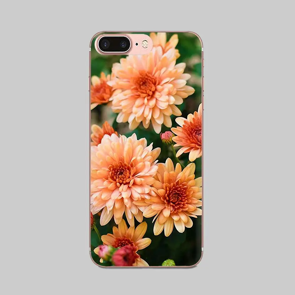 Хризантемы высокого качества многоцветные для Huawei Honor 5C 5X 6A 6X 7 7A 7X 8 8A 8S 8X 9 10 30 Lite Pro