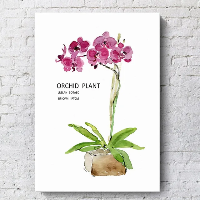 Красочные цветы зеленые растения холст живопись красивые украшение для дома