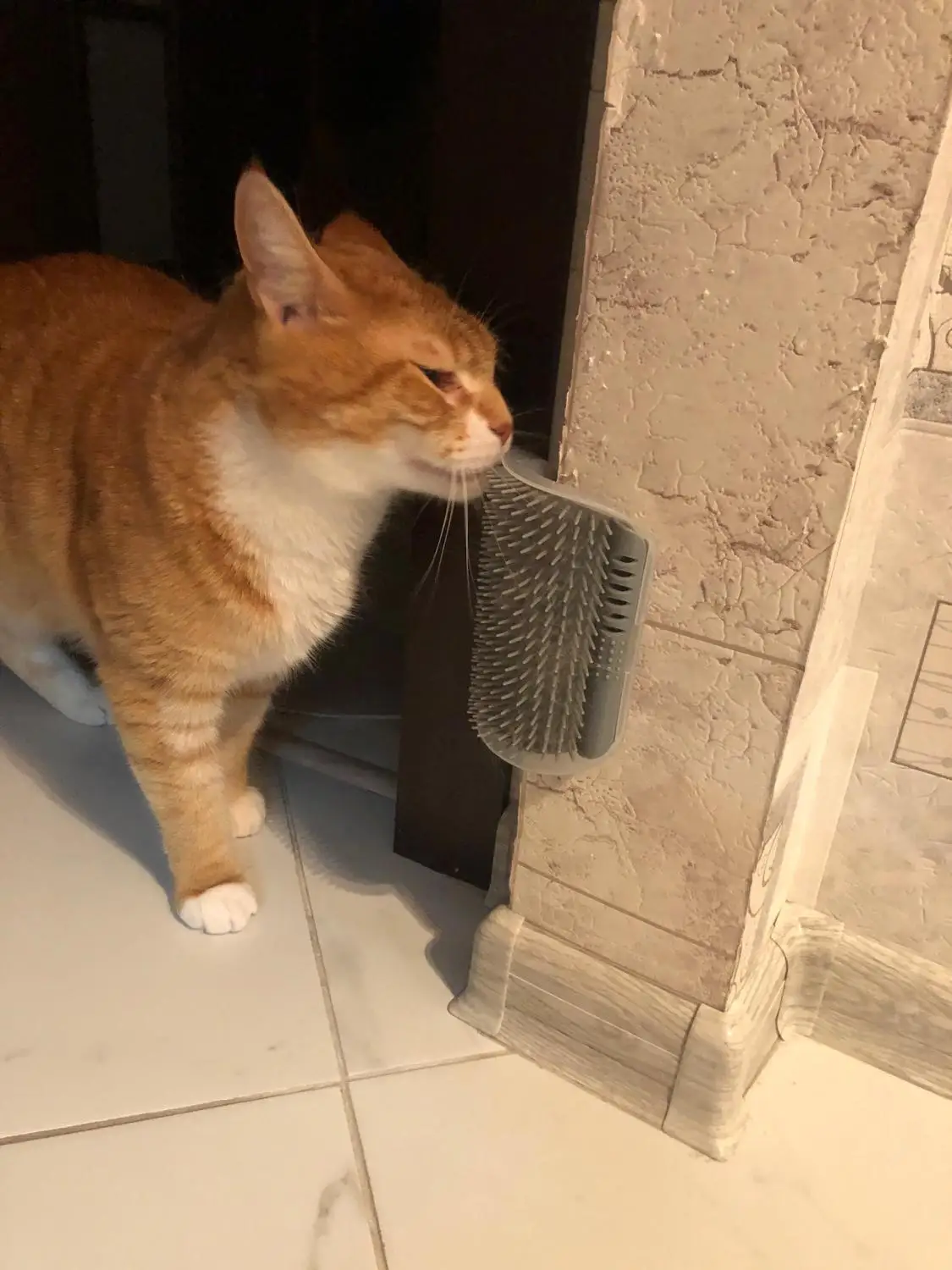 Расческа для домашних питомцев расческа кошек массажа кошачьей мяты удаление