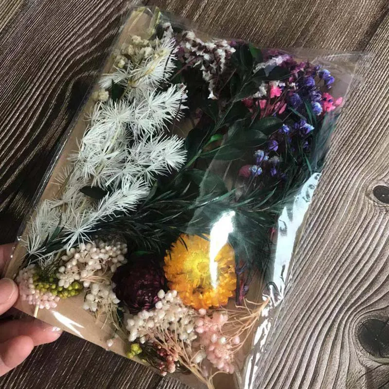 От волдырей 25 г натуральным завода по производству сухих Мульти Стиль сушеная