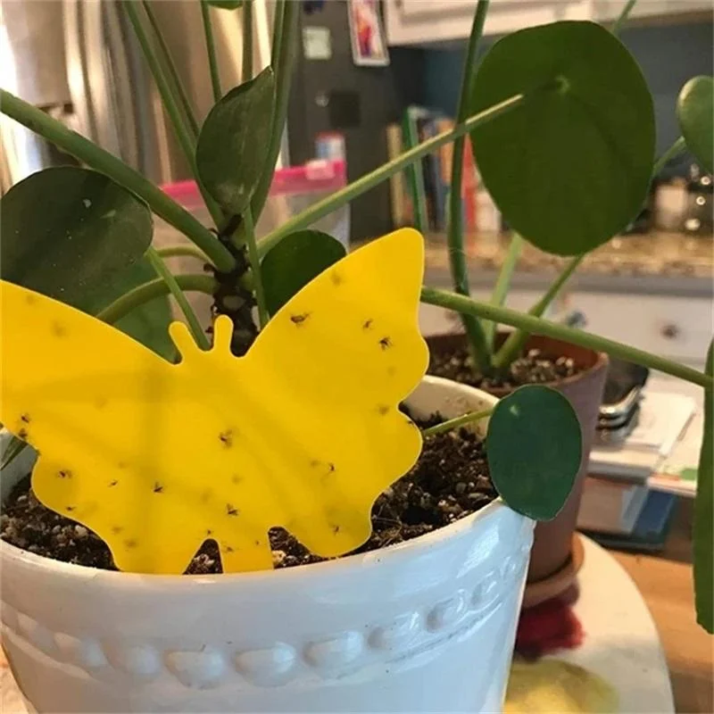 Клейкая доска в виде бабочек и цветов|Садовые колышки| |