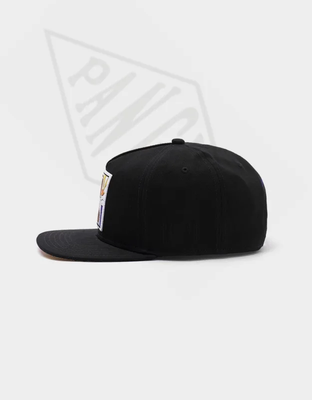 PANGKB бренд PACENSTEIN Кепка черная хлопковая модная хип-хоп кепка snapback для мужчин женщин и взрослых Повседневная Солнцезащитная бейсбольная кепка Bone