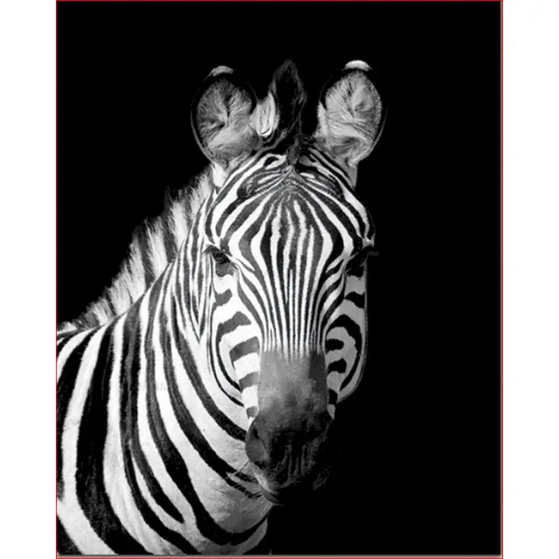 

Картины по номерам "Зебра", 40x50 см, живопись маслом по номерам г.