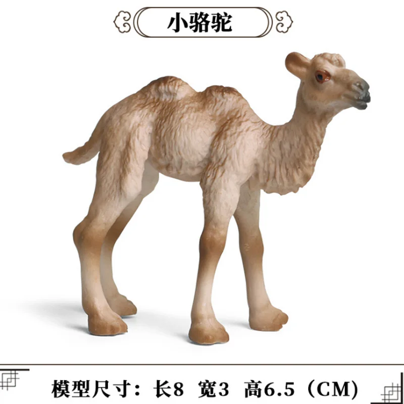 6 видов Твердые моделирование верблюда животных статуэтки коллекционные игрушки
