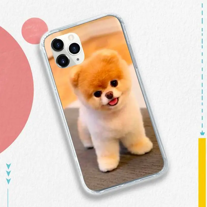 

Cute animal Pomeranian Phone Case for iPhone 11 12 pro XS MAX 8 7 6 6S Plus X 5S SE 2020 XR