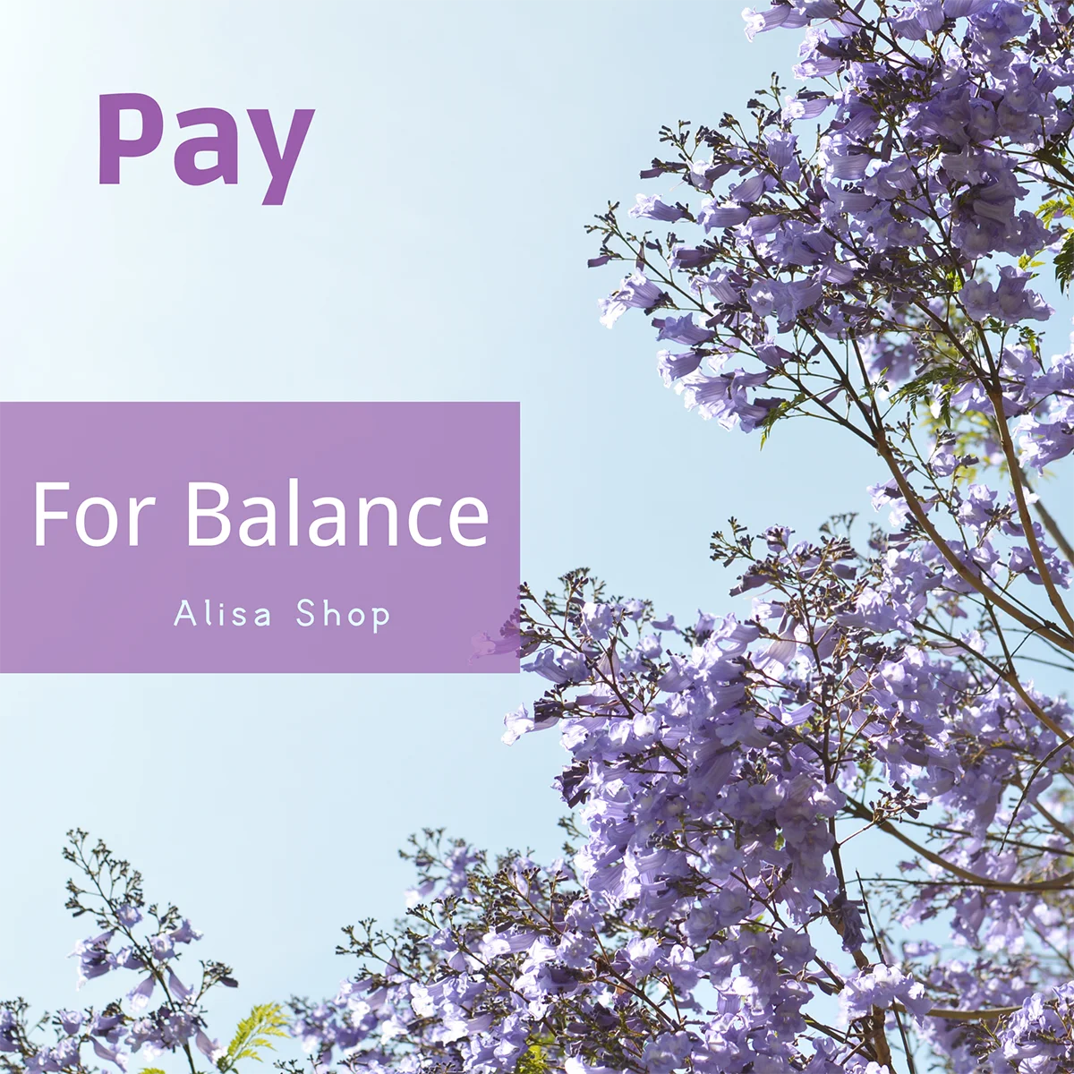

Additional Pay on Your Order