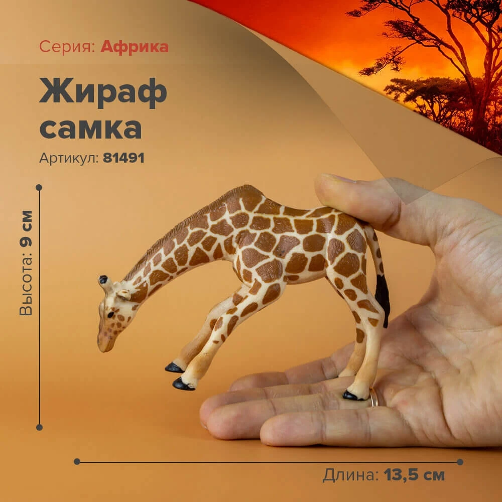Фигурка Жираф самка 81491|Игровые фигурки и трансформеры| |