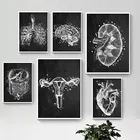Черно-белая анатомическая Настенная картина, человеческий холст, живопись сердца, легких, мозга, кишечника, настенная печать, постеры, картина, доктор, офисный Декор