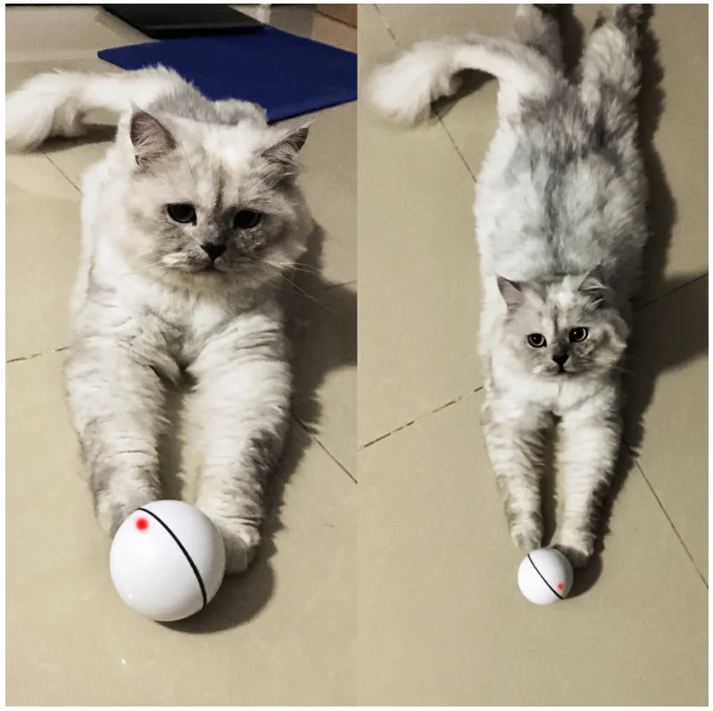 Pet персидская игрушка для кошек светодиодный светящийся шар зарядка через USB умная забавная игрушечная кошка автоматический прокатный лазерный шар для маленьких средних собак свет