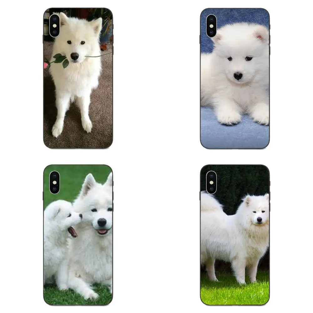 Милый белый Samoyed Puppy Dog Pets для Apple iPhone 4 4S 5 5S SE 6 6S 7 8 Plus X XS Max XR мягкий чехол из