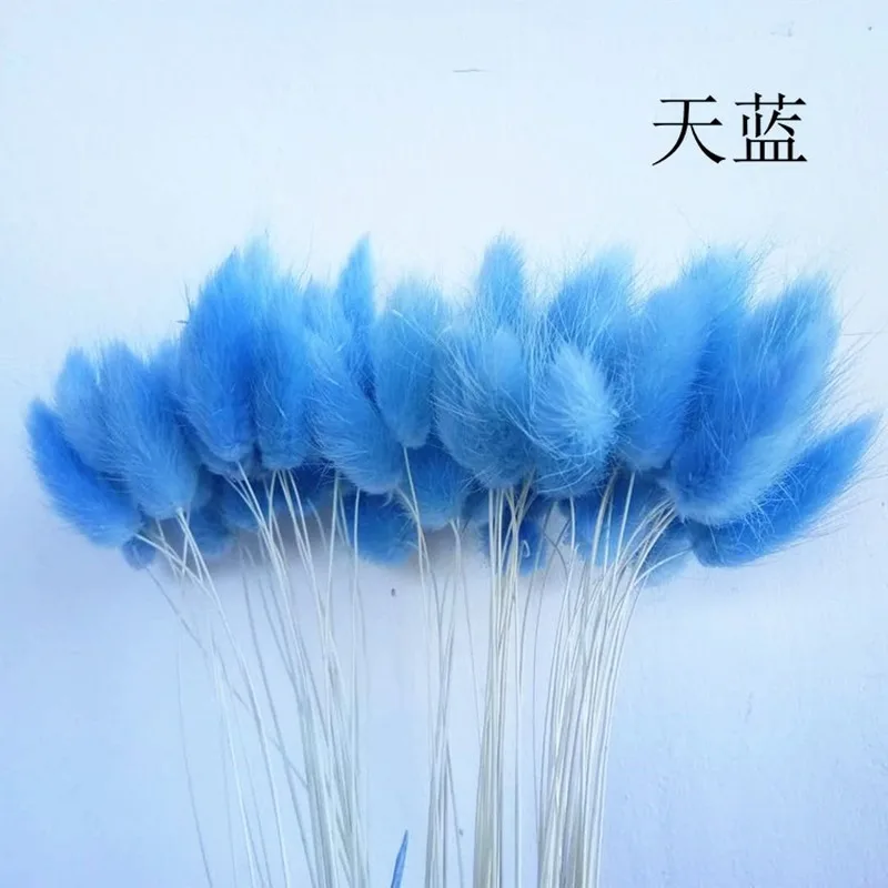 60 шт. кролик трава памп засушенные цветы Кролик хвост натуральные растения