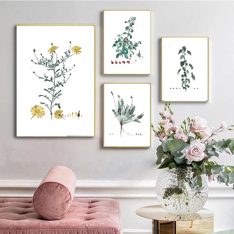 

Botanical Herb Studies watercolour Posters and Prints Antique French Plant Canvas Painting Wall Art Pictures Kitchen Bedroom Dec